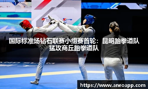 国际标准场钻石联赛小组赛首轮：昆明跆拳道队猛攻商丘跆拳道队